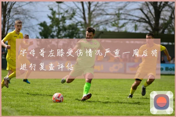 字母哥左膝受伤情况严重一周后将进行复查评估